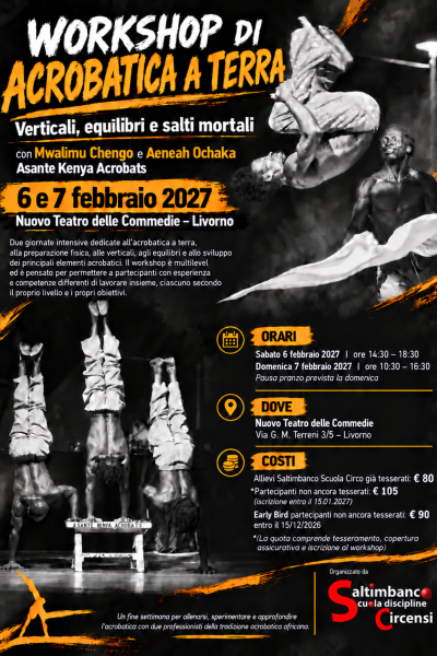 Workshop di Acrobatica a Terra (4)